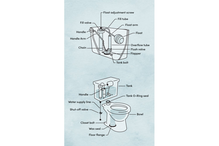 Parts of a Toilet Wayfair
